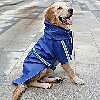 Dog Rain Gear