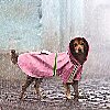 Doggie Rain Coat 