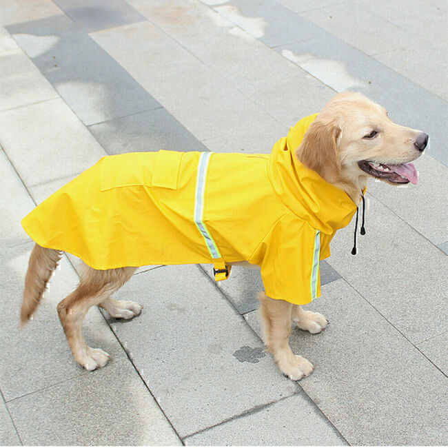Top Rated Dog Raincoat