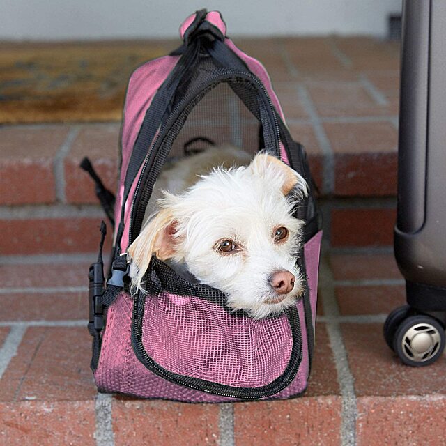 Dog Carry-on Bag