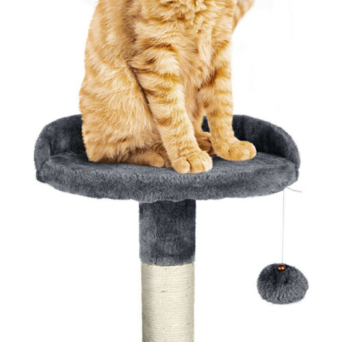 Cat Condo Tower