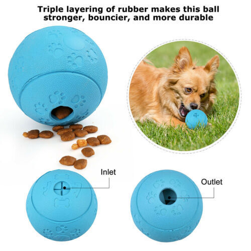 Pet Training Ball