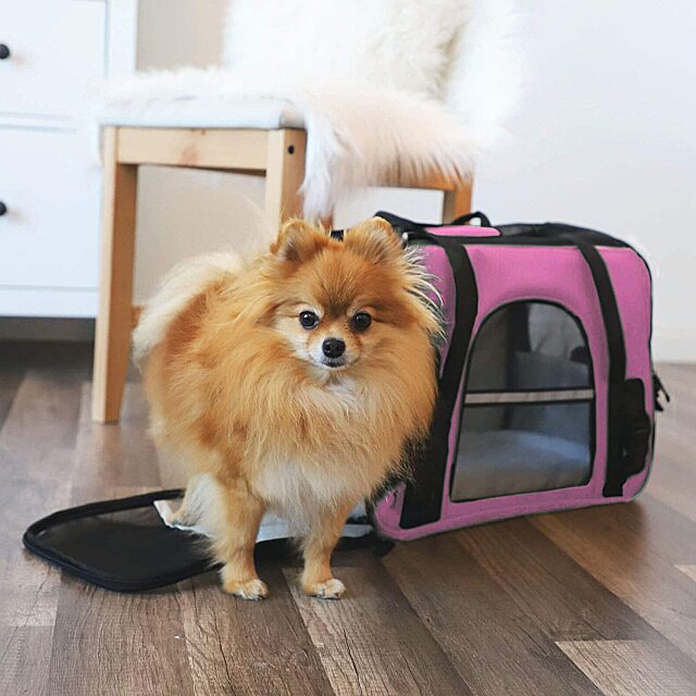 Airplane Pet Carriage Bag