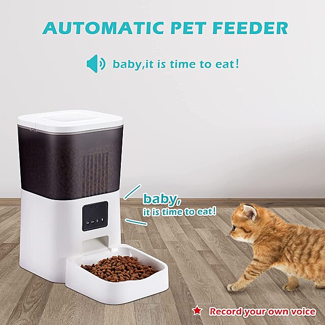 smart automatic cat feeder 